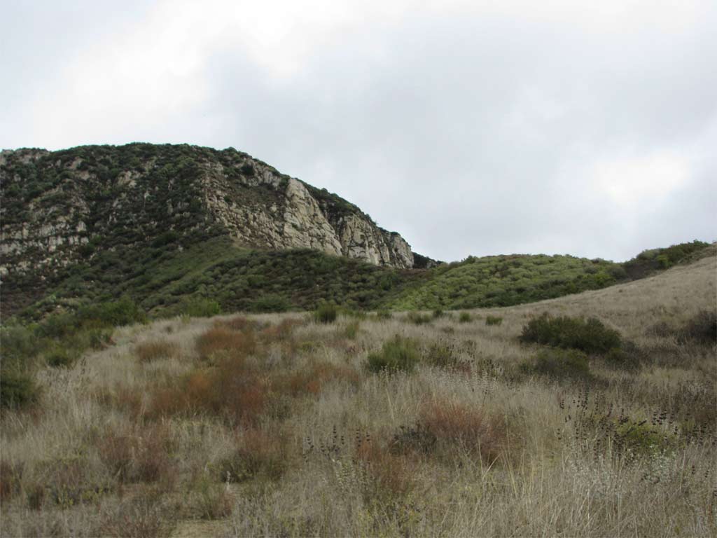 A Walk in the Hills Santa Barbara County