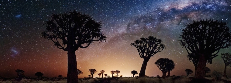 Evening in the Desert, Joshua Tree